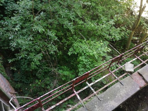 Blick in den Hinterhof eines denkmalgeschützten Gebäudes in Wittenberge mit starkem Pflanzenbewuchs und ungepflegten Außenflächen
