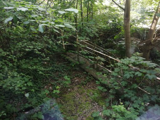 Hinterhof Rathausstraße 11 – stark verwilderter Außenbereich vor der Sanierung